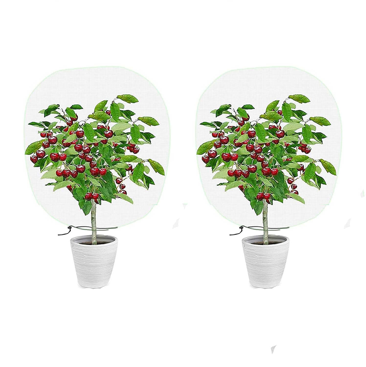 Beautymee 2PCS Insect Bird Barrier Netting Mesh with Drawstring, Garden Bug Netting Plant Cover,Mesh Plant Cover Bags, Plant Protection Cover for Protect Plant Fruits Flower (1.5 X 1m)