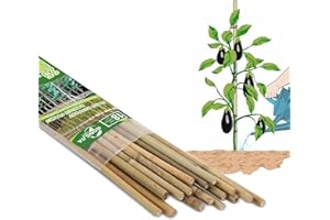 RONGJIA Strong Bamboo Stakes, Multi-Purpose Bamboo Plant Support Stakes, Best Garden Stakes Decoration for Tomato, Bean, Flowers,Trees Potted and Climbing Plant Support (18 inch, Pack of 25)