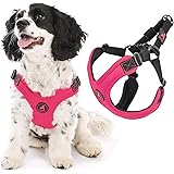 gooby easy fit harness small