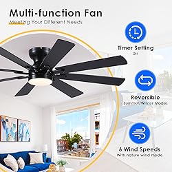 BYKISTOK Black Ceiling Fan with Light and