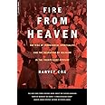 Fire From Heaven: The Rise Of Pentecostal Spirituality And The Reshaping Of Religion In The 21st Century