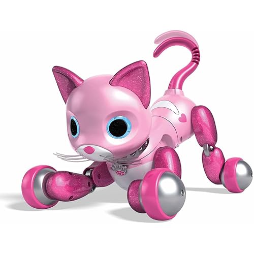 Best Robot Cats 10Reviewz