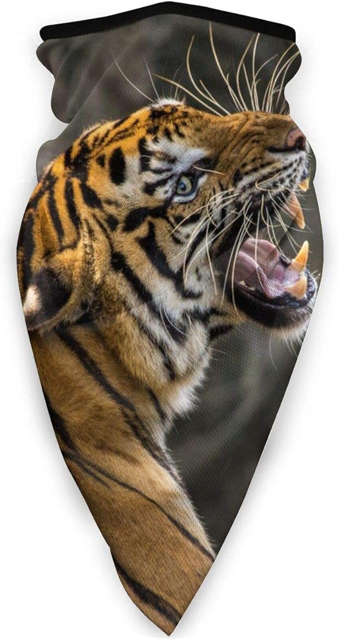 AnimalTiger (3) Multifunctional Sports Face Mask Balaclava, Windproof