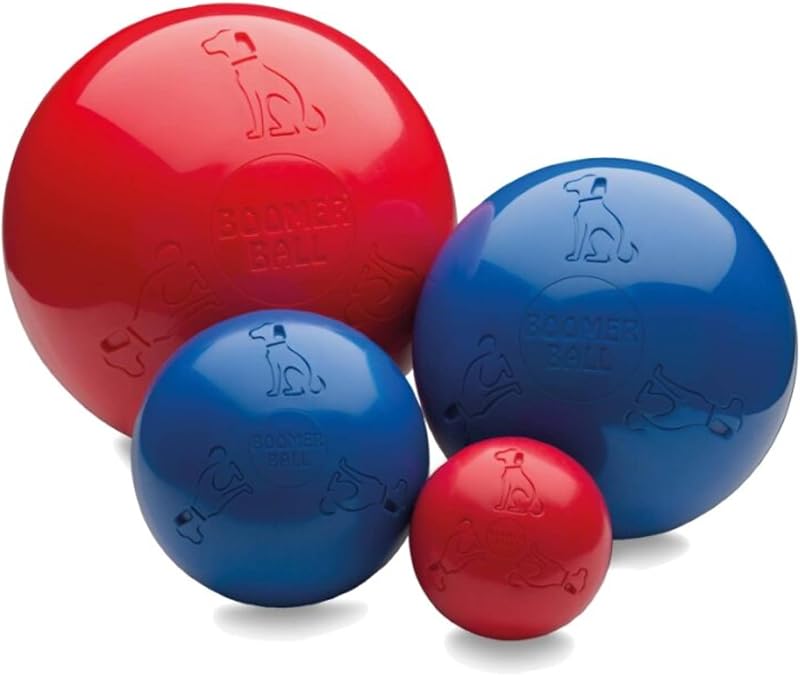 Company of Animals Boomer Ball 6 inch Dog Toy – Virtually Indestructible