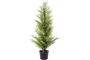 WBHome 3FT Tabletop Artificial Cypress Tree 36" Faux Tree Potted Green for Front Porch Christmas Indoor Outdoor Decor