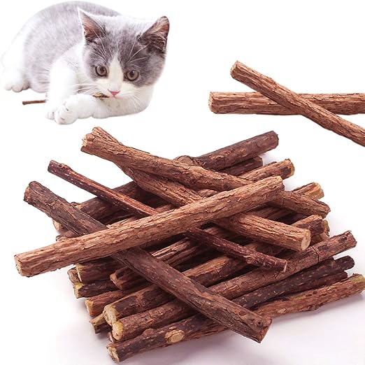 chew toys for cats teeth