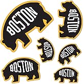 Desert Cactus Boston Bruins Team NHL National Hockey League Sticker Vinyl Decal Laptop Water Bottle Car Scrapbook (Type 3-4)