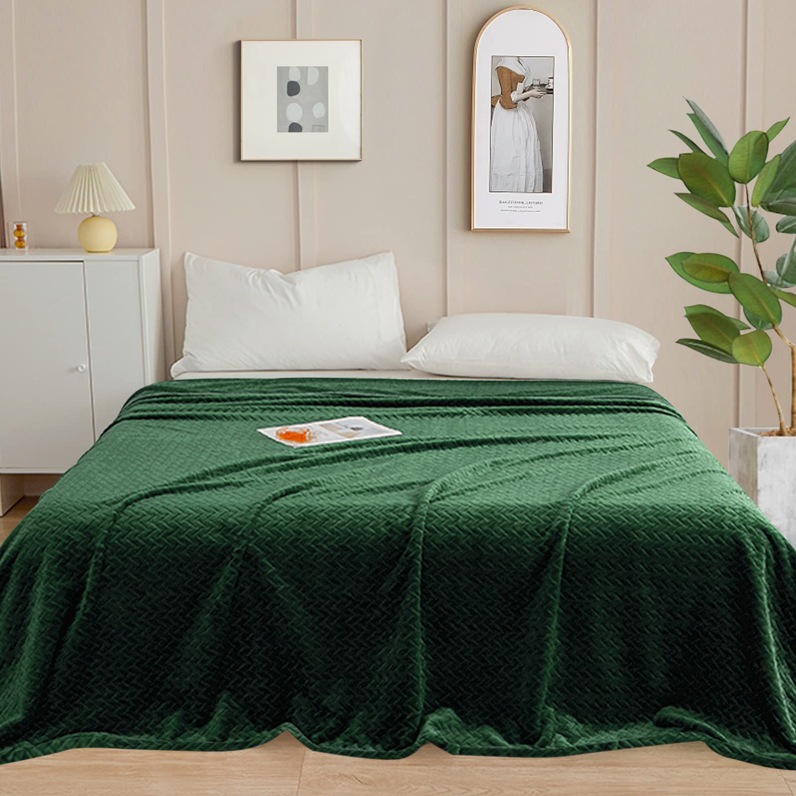 inhand Fleece Blanket for Bed, Super Soft Flannel Cozy King Bed Blanket for Adults, Washable Lightweight Fuzzy Bed Blanket for Office Sofa, Warm Plush Blankets for All Season (90"×108", Green) Image