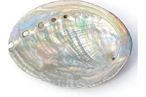 1Pc Natural Large Abalone Shell Smudge Bowl, 4-4.5 Inch Colorful Sea Shell Bowl for Sage Burning, Incense & Home Decor Displa