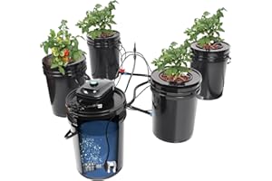 BAVNNRO RDWC Top Feed Drip Hydroponics Systems, Recirculating Deep Water Culture Hydroponic Bucket System, 5 Gallon Hydroponics Growing System Kit with Water Pump, Air Pump(4 Bucket + Reservoir + Drip Kit)