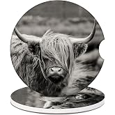 Car Cup Holder Coaster - Highland Cow Absorbent Ceramic Coaster, Car Coasters for Cup Holders, Auto Accessories for Women & Men, Pack of 2