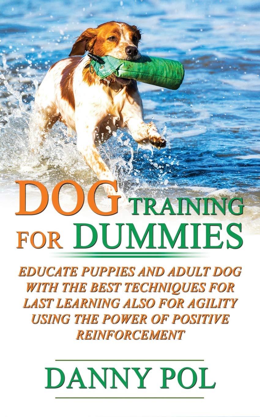 dummies dog training