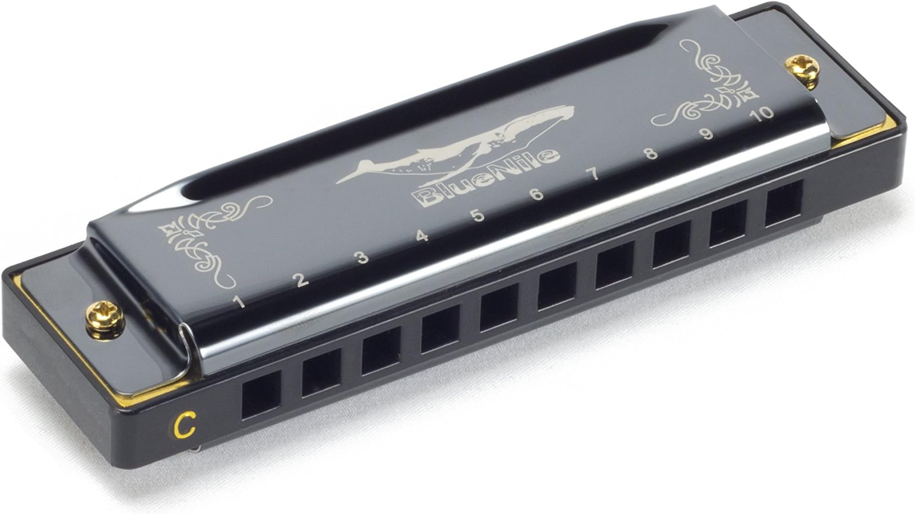BlueNile Professional Conventional Harmonica Standard Diatonic 10 hole with 1.2mm plate structure, Key C(Stainless Steel), perfect for beginners like Pop, jazz, Folk & Blues