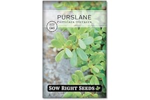 Sow Right Seeds - Purslane Seeds for Planting - Non-GMO Heirloom Packet with Instructions to Grow an Outdoor or Indoor Vegetable Garden - Rare Edible & Culinary Variety - Medicinal Benefits & Uses (1)