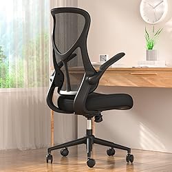 SMUG Ergonomic Office Desk Computer Chair,Comfy