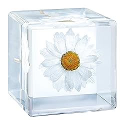 Bon Cube Real Flower Desk Accessory Mini Resin Cube