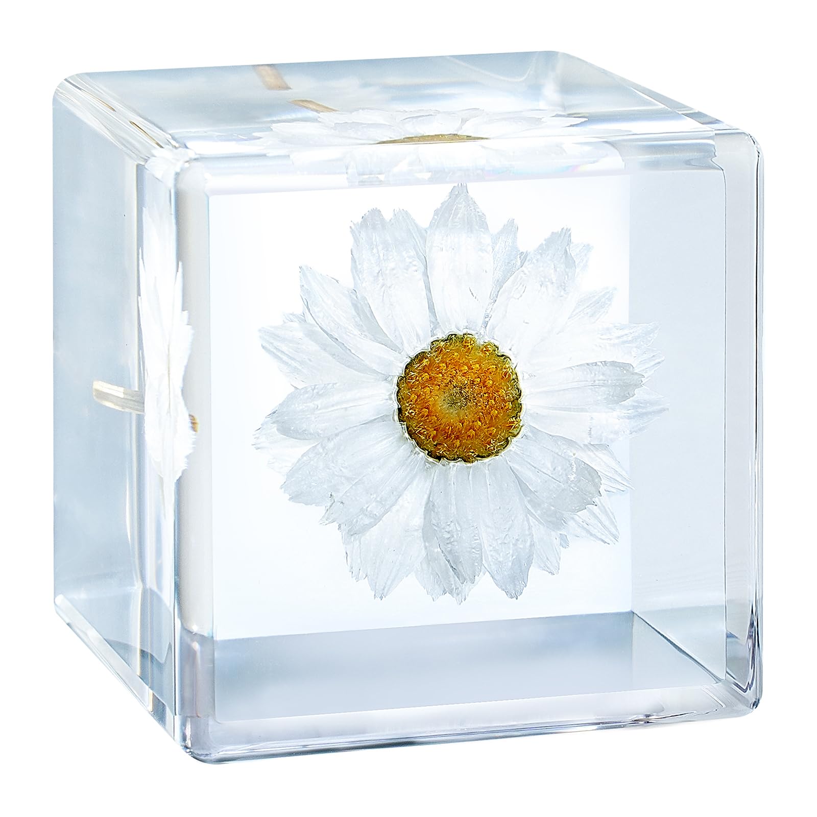Bon Cube Real Flower Desk Accessory Mini Resin Cube