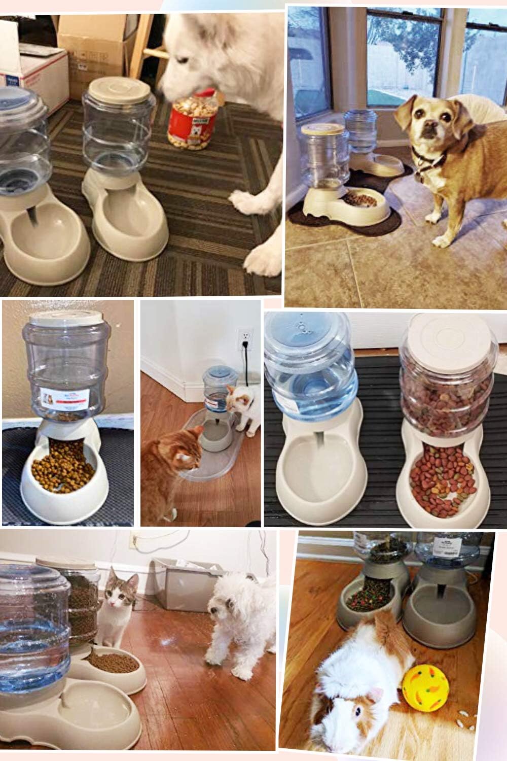 Kitchen & Dining : Pet Feeding Solution Automatic Cat & Dog Cafe Feeder and Water Dispenser in Set with Food Scoop - Ito Rocky 6-Meal Automatic Food Dispenser for Small / Middle Puppy and Kitten : 