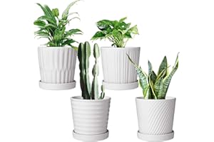 Brajttt Flower Pots,6 Inch Succulent Pots with Drinage,Indoor Round Planter Pots with Saucer,White Cactus Planters with Hole,Outdoor Graden Pots 4 Pack