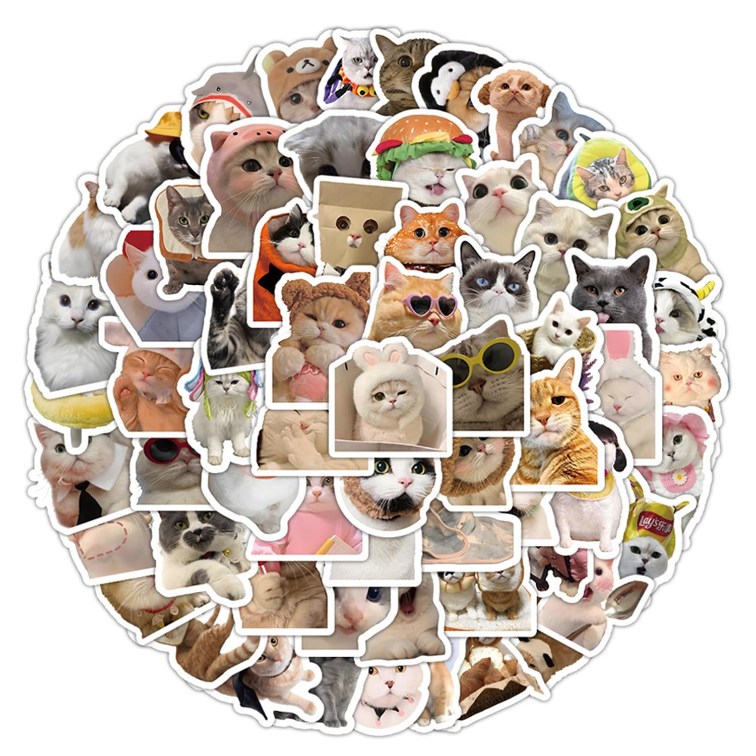 Vikrami lighting 200Pcs Funny Cat Stickers Set Kawaii Sticker Set Waterproof Vinyl Stickers Aesthetic Decals for Water Bottle,Fridge, Animal Stickers for Cat Lovers