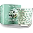 Caldrea Scented Candle, Made With Essential Oils And Other Thoughtfully Chosen Ingredients, 45 Hour Burn Time, Pear Blossom Agave Scent, 8.1 Oz