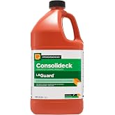 PROSOCO LSGuard | Glossy Sealer and Protective Treatment for Concrete - Trusted by Professionals (1 Gallon)