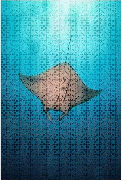 Amazon.com: 1000 Pieces Wooden Jigsaw Puzzle Beautiful Big Manta ray in deep Blue Ocean Under The sea Stock Fun and Challenging Board Puzzles for Adult Kids Large DIY Educational Game Toys Gift