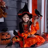 Jodsen 3 Pack Halloween Crows Artificial Feathered Ravens Decoration view 5