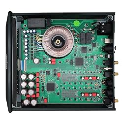 Musician Pegasus R2R DAC Decoder DSD1024 PCM1536