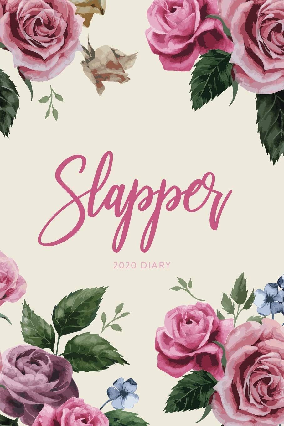 2020 Diary; Slapper: UK Week to View Schedule Planner, Calendar, and Appointment Diary (Appointment Books, Monthly Calendar Planners, and Personal Organisers)
