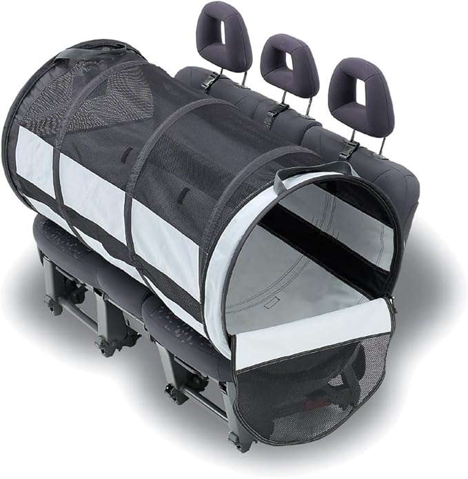 best way to transport cat in car