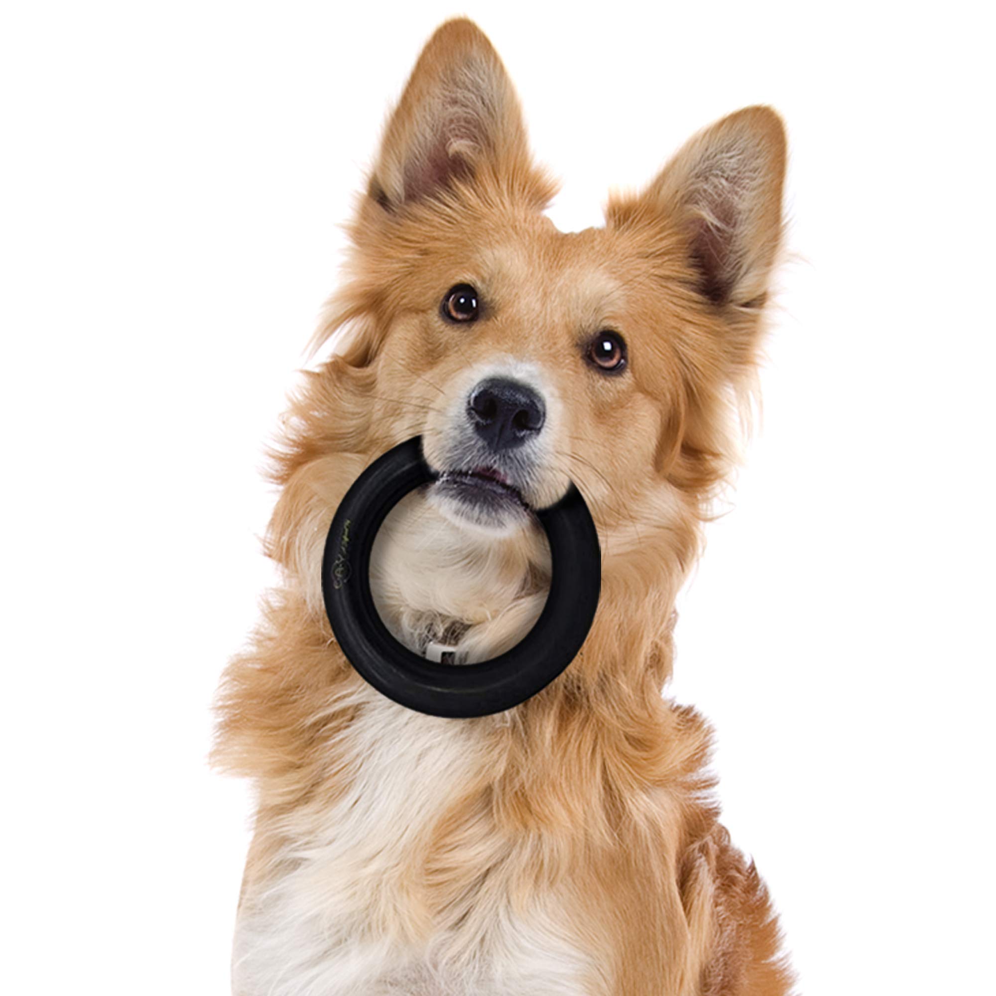 E-A-Y Dog Toys for Aggressive Chewers - Durable Chew Toy - Rubber Chew Toy for Dogs & Puppies & Tough Strong Durable Natural Rubber - 100% Safe & Non-Toxic & Stylish Gift Box !!!