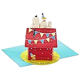 Hallmark Paper Wonder Peanuts Pop Up Birthday Card