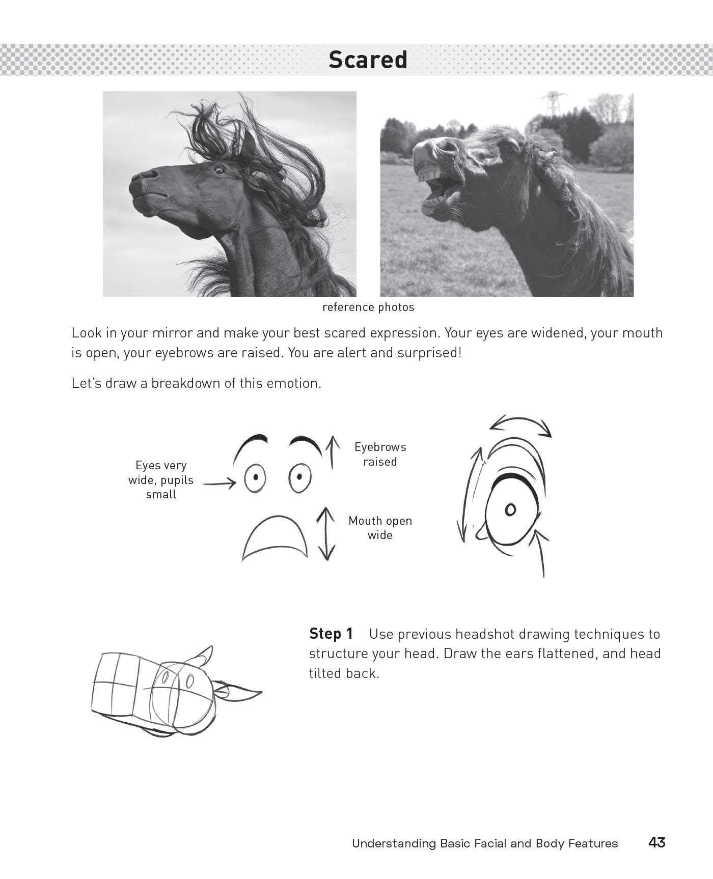 Drawing Furries: Learn How to Draw Creative Characters, Anthropomorphic Animals, Fantasy Fursonas, and More (How to Draw Books)
