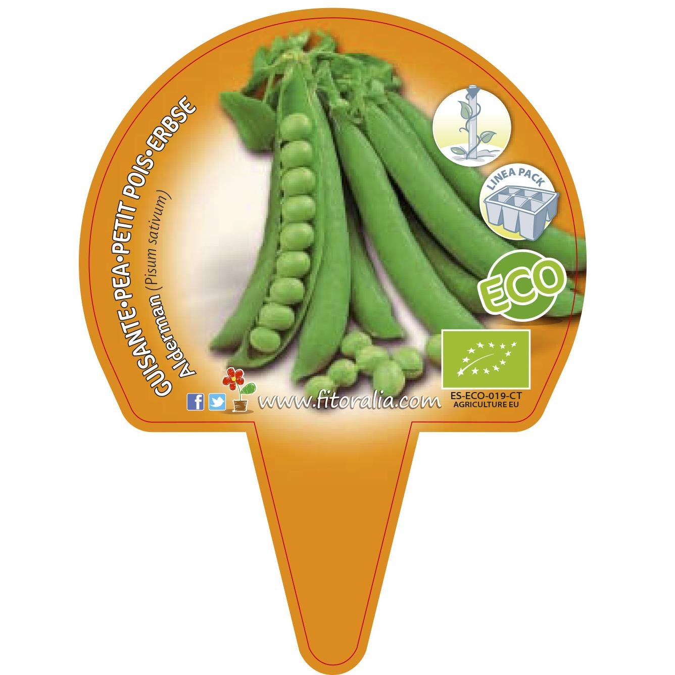 GUISANTE MATA ALTA ECO - PACK 6: Amazon.es: Jardín