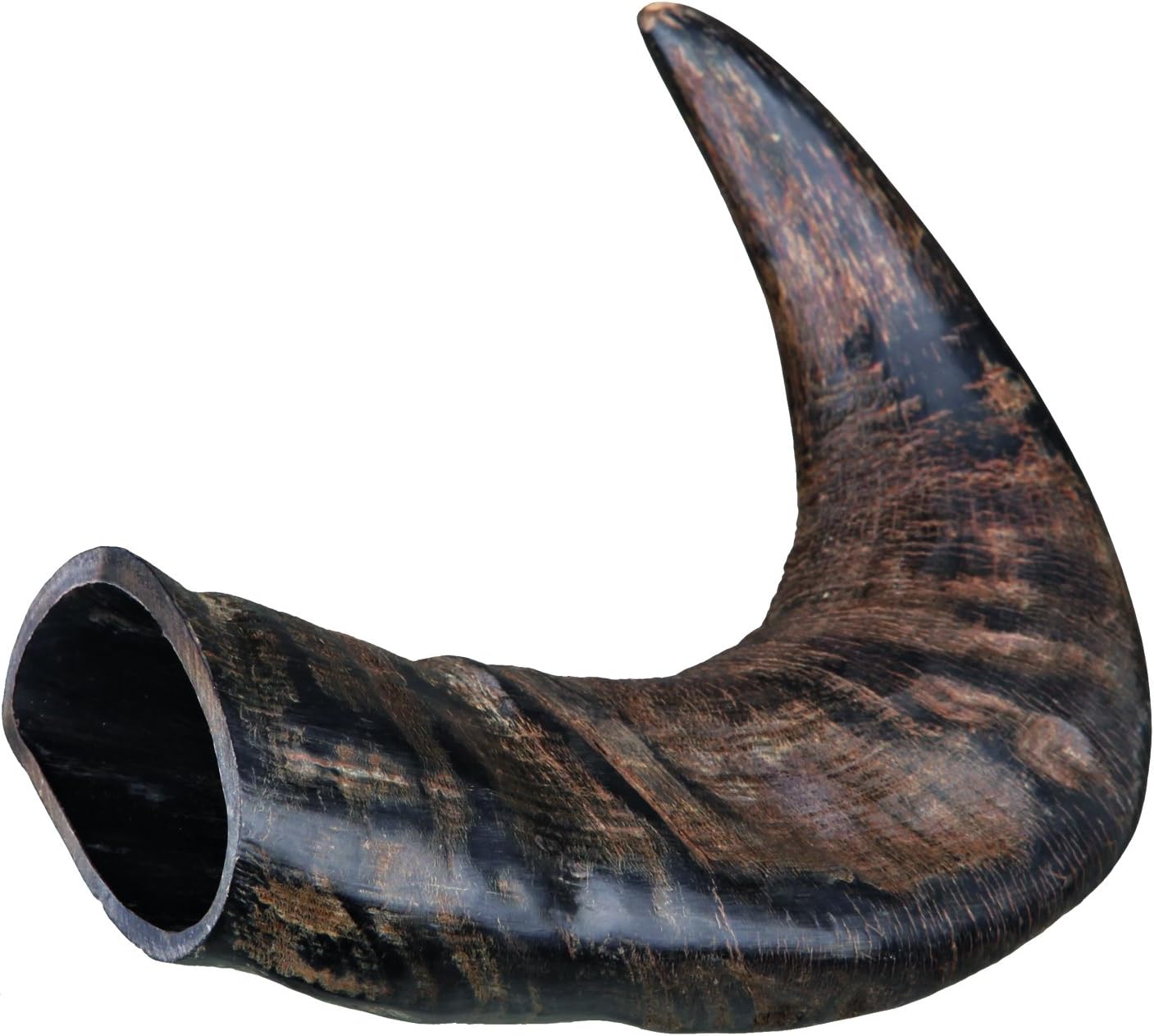 Trixie Genuine Buffalo Chewing Horn for Dogs, Medium Amazon.co.uk Pet Supplies