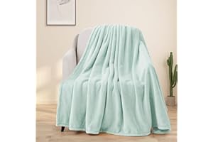 BEAUTEX Fleece Throw Blanket for Couch Sofa or Bed Throw Size, Soft Fuzzy Plush Blanket, Luxury Flannel Lap Blanket, Super Cozy and Comfy for All Seasons (50" x 60",Mint)