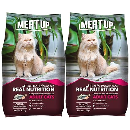 types of pet lizards for beginners