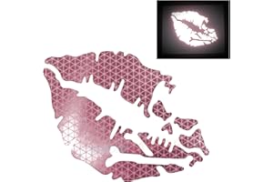 customTAYLOR33 High Intensity Reflective Vinyl Death Kiss Skull Crossbones Lips Decal Bumper Sticker - Cars, Motorcycles, Helmets, Wind Screens, laptops, cellphones, (SE Pink, 3 inch Wide, Pair)