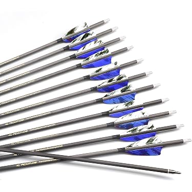 Sinwind Flechette Pointe Plastique, 12 Fléchettes avec 42 Ailettes et 100 Pointes, Set de Flechettes à Pointe Souple pour Cible de Flechette Electronique