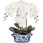 Briful Orchid Artificial Flowers in Blue and White Porcelain Pot 19.7" White Faux Silk Orchid Arrangement Large Fake Orchid Floral Centerpiece for Elegant Home Office Living Room Kitchen Table Decor