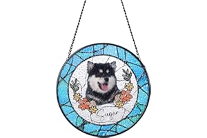Custom Photo Glass Suncatcher- Personalized NAM Pet Memorial Window Hanging Ornament, Stained‑Glass Style Pendant for Birthda