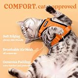 rabbitgoo Cat Harness and Lead Set XS Orange Reflective Adjustable Escape Proof view 4