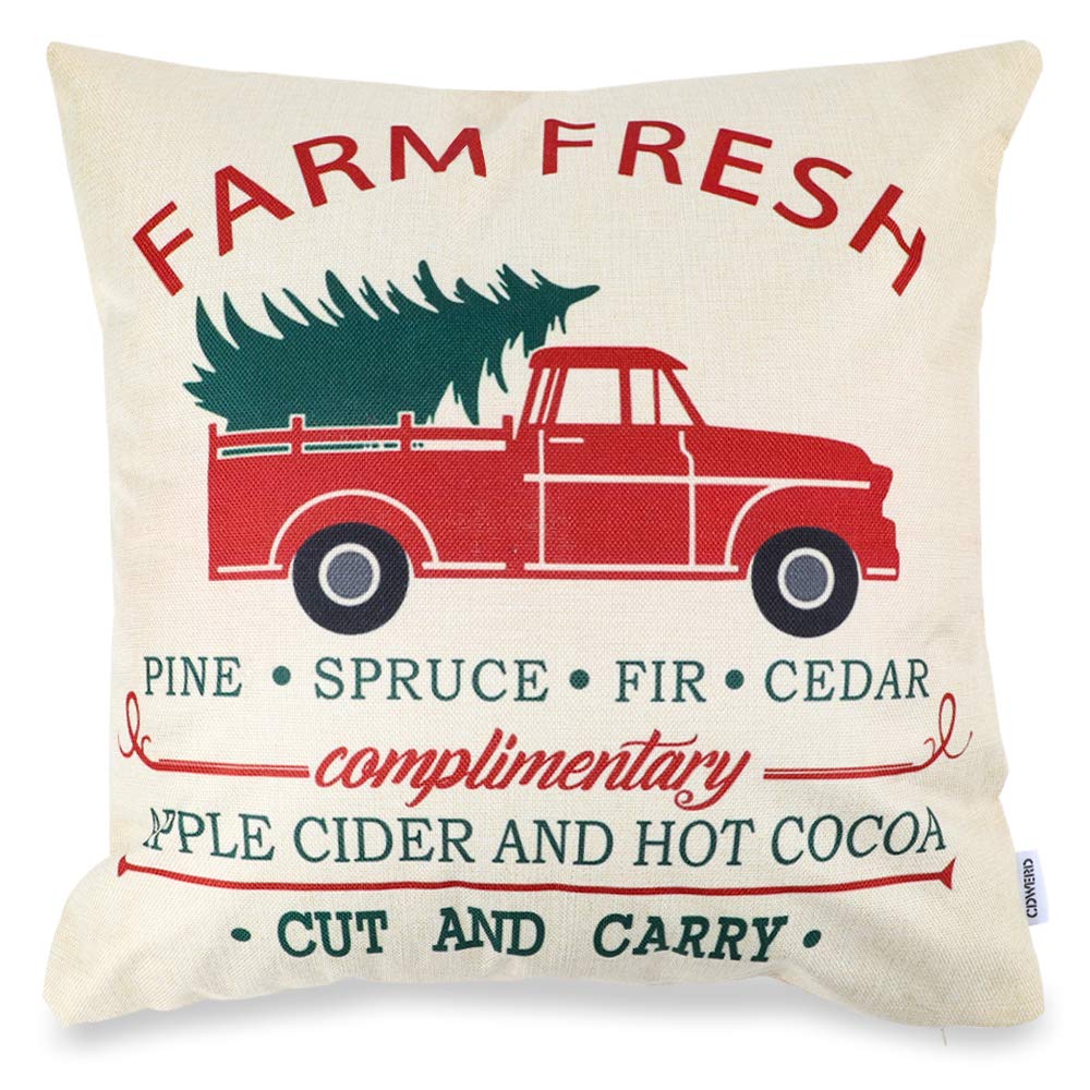 Best Casa Decor Home Pillow