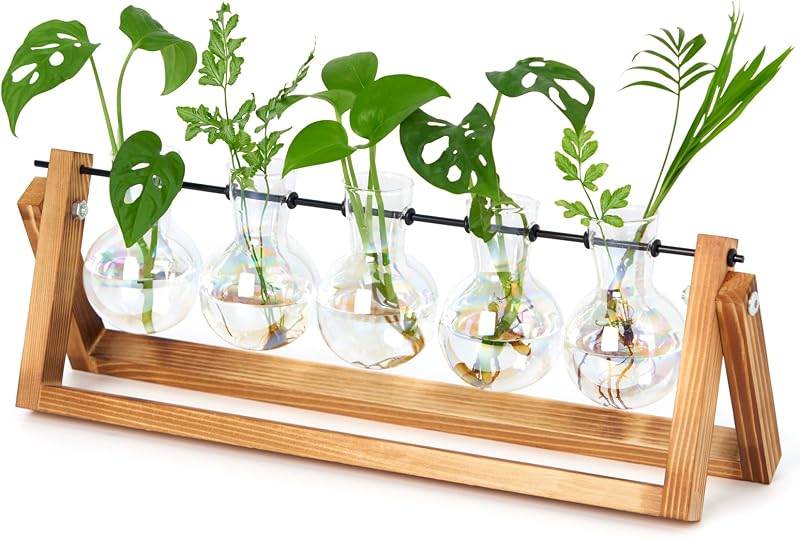 XXXFLOWER Desktop Propagation Station 5 Glass Bulbs with Wooden Stand