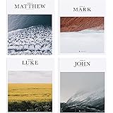 The Gospels Set - Alabaster Bible [Perfect Paperback] Alabaster Co. [Perfect Paperback] Alabaster Co.