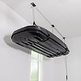 Teal Triangle Ceiling Storage Hoist for Cargo Box