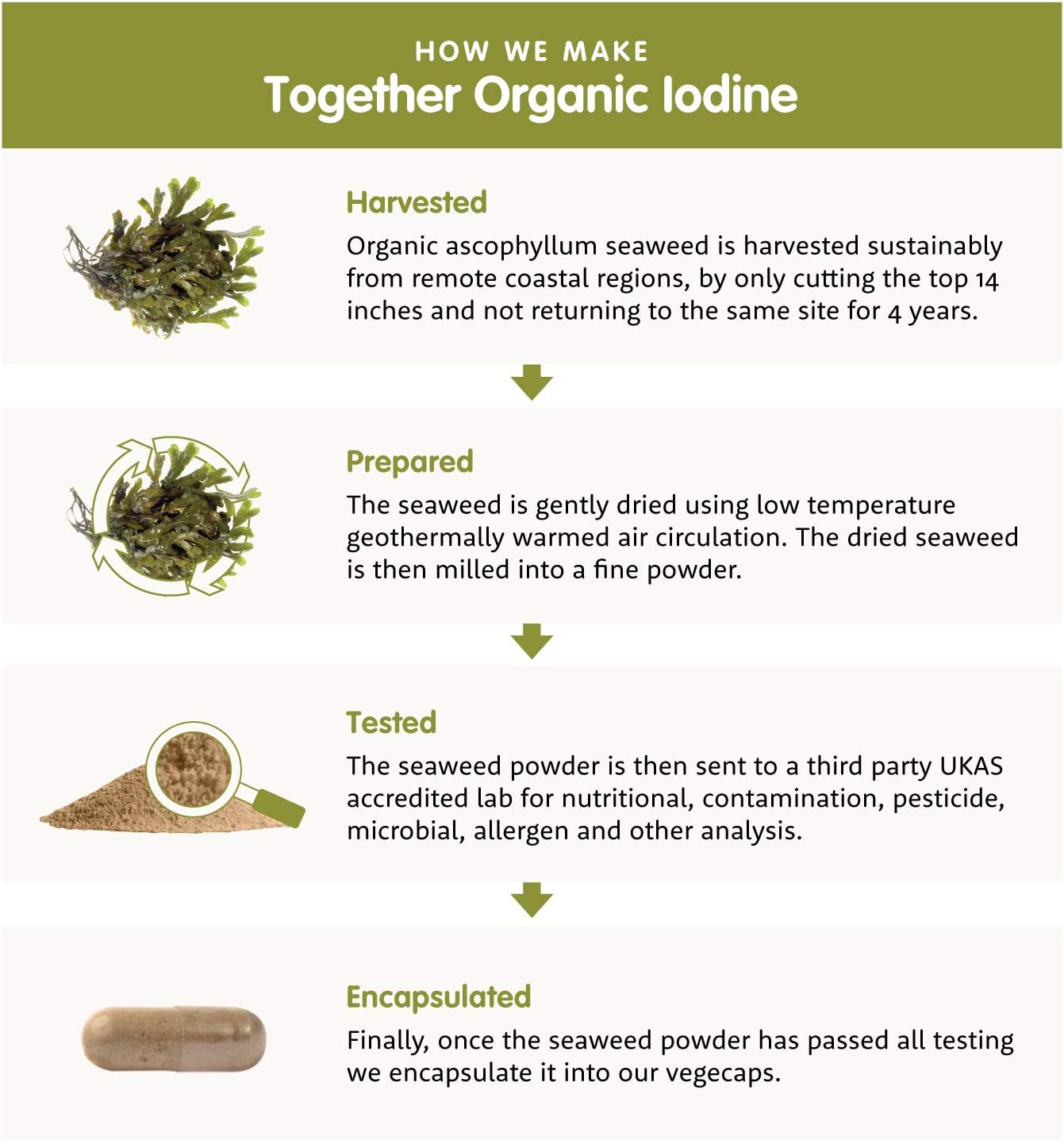 Organic Seaweed Iodine Supplement Together Health From Organic