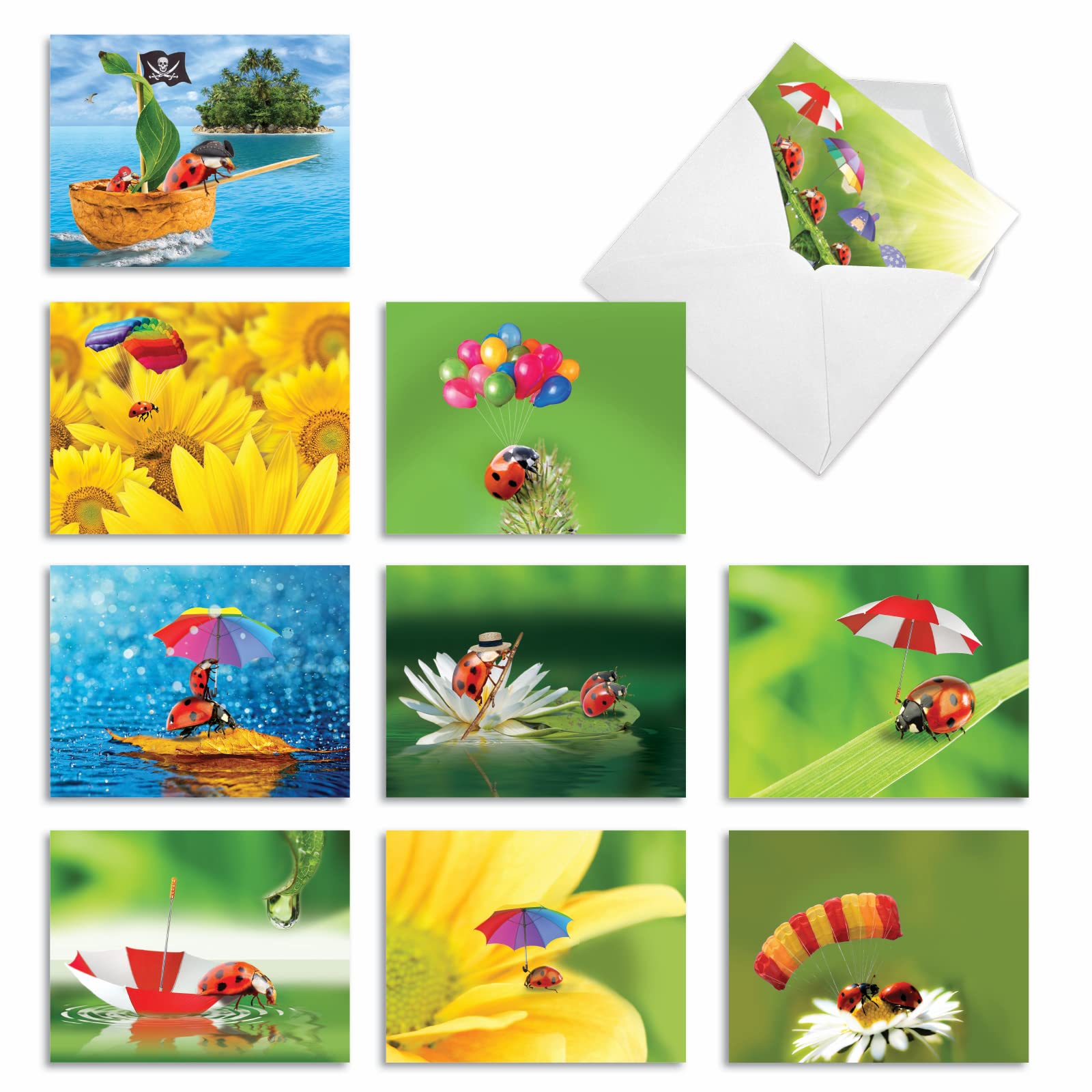 The Best Card Company - 10 Wildlife Thank You Greeting Cards w/Envelopes, Cute Animal Boxed Notes Stationery - Lady B. M1546TY