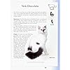 ASPCA Complete Guide to Cats: Everything You Need to Know About Choosing and Caring for Your Pet (Aspc Complete Guide to) - Image 6